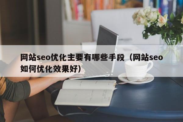 网站seo优化主要有哪些手段(网站seo如何优化效果好)