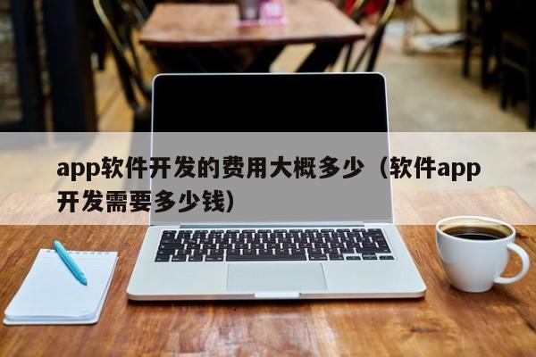 app软件开发的费用大概多少(软件app开发需要多少钱)