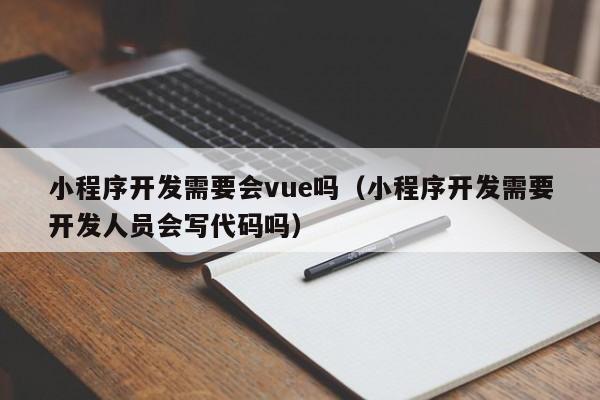 小程序开发需要会vue吗(小程序开发需要开发人员会写代码吗)