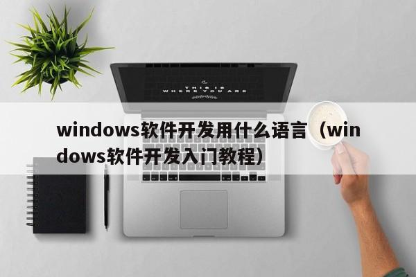 windows软件开发用什么语言(windows软件开发入门教程)