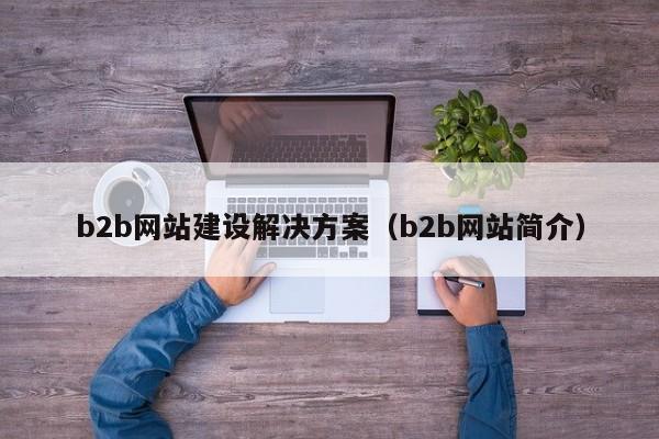 b2b网站建设解决方案(b2b网站简介)