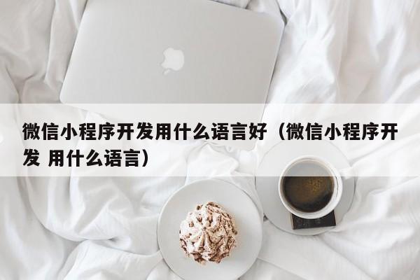 微信小程序开发用什么语言好(微信小程序开发 用什么语言)