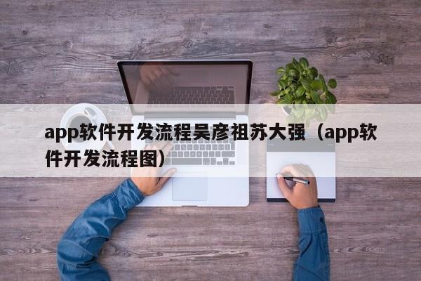 app软件开发流程吴彦祖苏大强(app软件开发流程图)