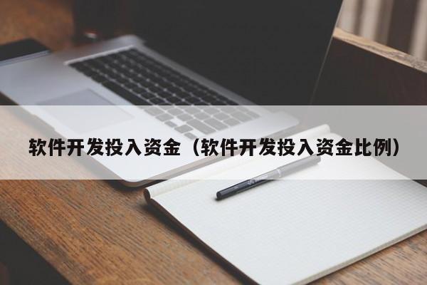 软件开发投入资金(软件开发投入资金比例)
