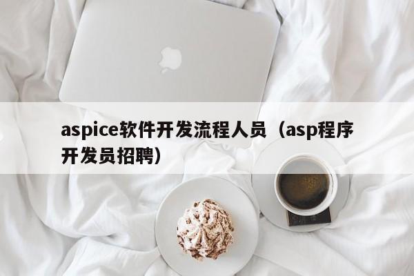 aspice软件开发流程人员(asp程序开发员招聘)