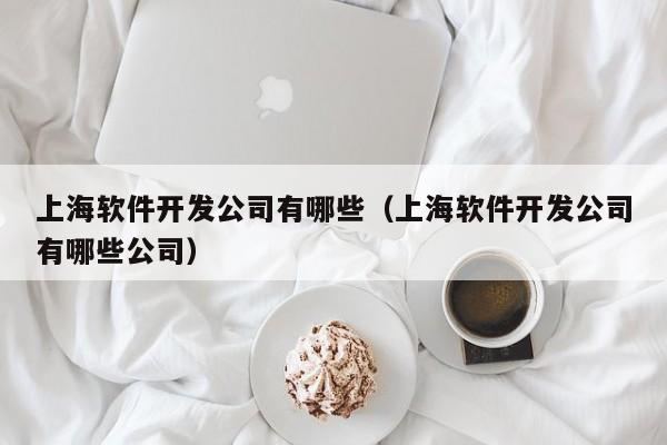 上海软件开发公司有哪些(上海软件开发公司有哪些公司)