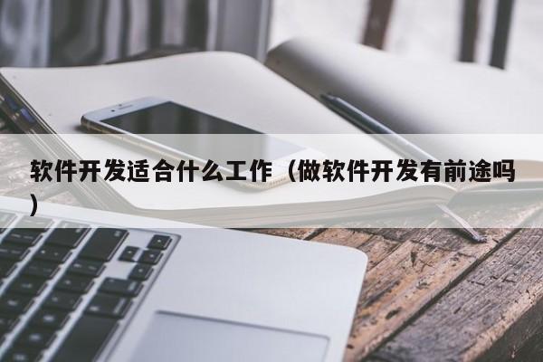 软件开发适合什么工作(做软件开发有前途吗)
