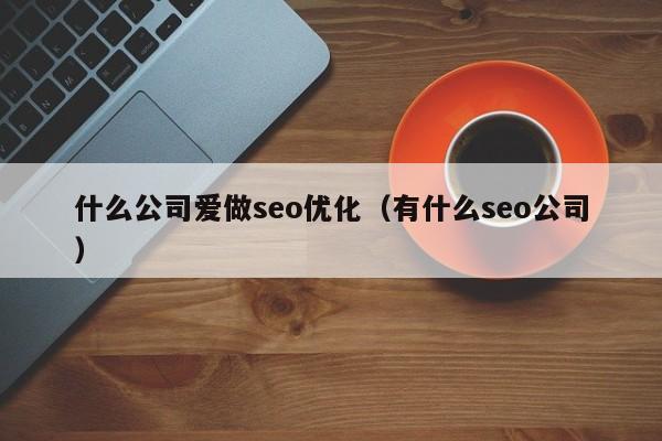 什么公司爱做seo优化(有什么seo公司)
