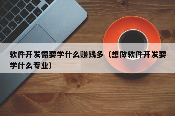 软件开发需要学什么赚钱多(想做软件开发要学什么专业)
