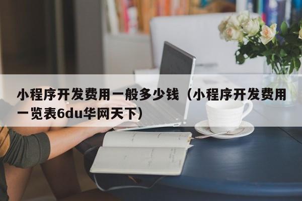 小程序开发费用一般多少钱(小程序开发费用一览表6du华网天下)