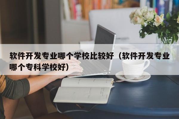 软件开发专业哪个学校比较好(软件开发专业哪个专科学校好)