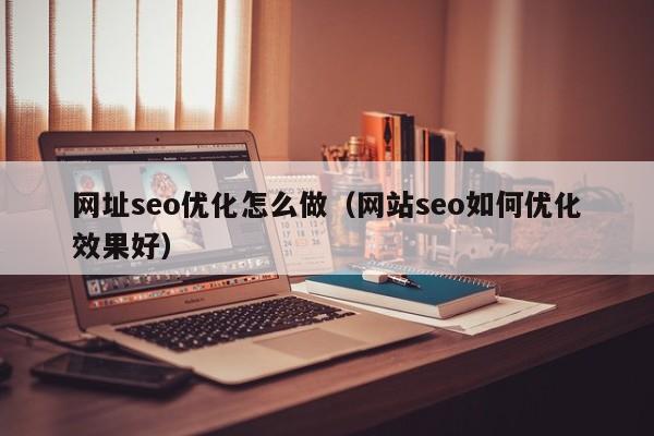 网址seo优化怎么做(网站seo如何优化效果好)
