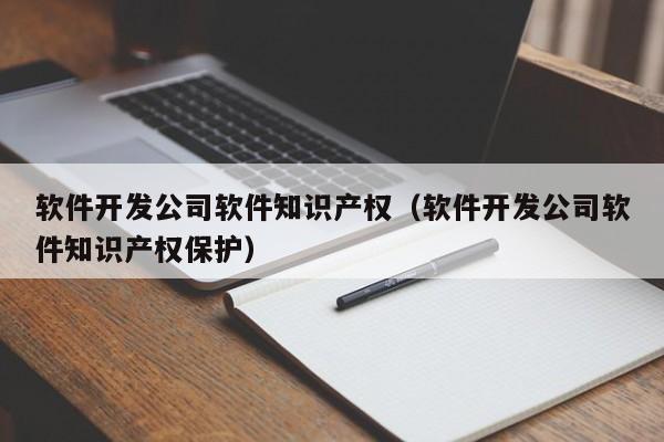 软件开发公司软件知识产权(软件开发公司软件知识产权保护)