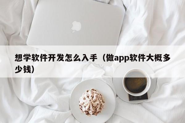 想学软件开发怎么入手(做app软件大概多少钱)
