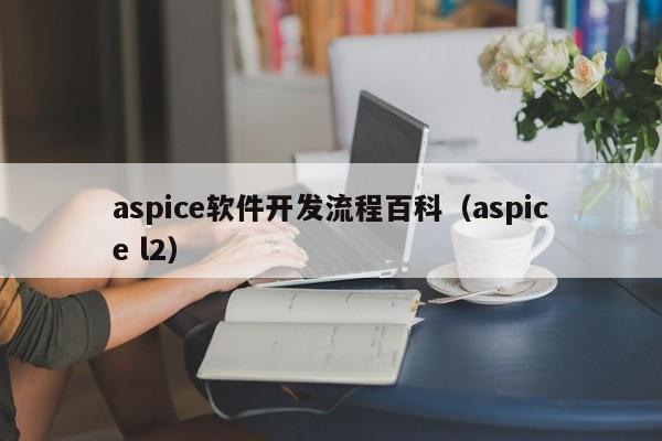 aspice软件开发流程百科(aspice l2)