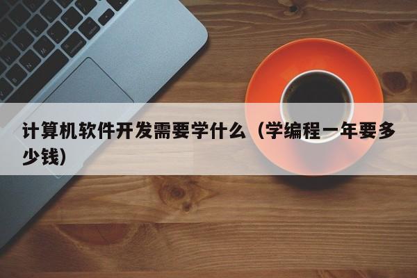 计算机软件开发需要学什么(学编程一年要多少钱)