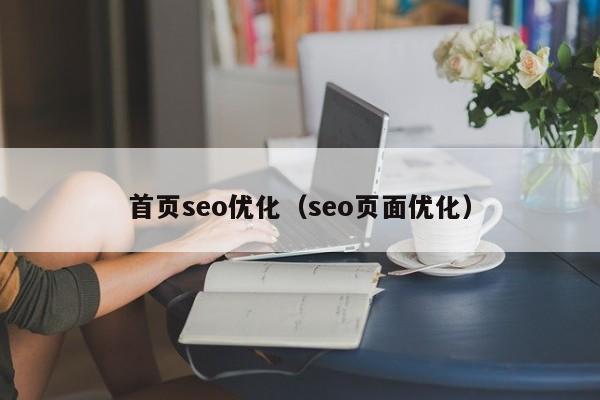 首页seo优化(seo页面优化)