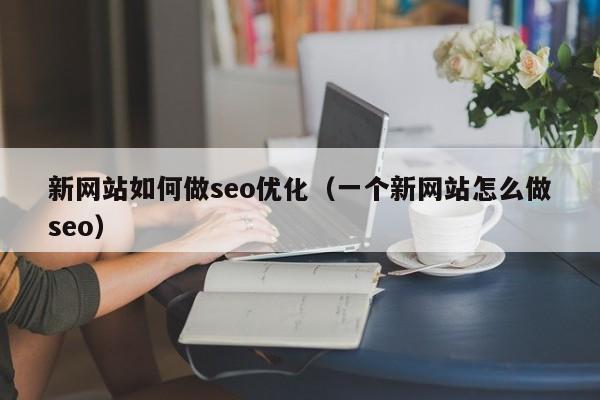 新网站如何做seo优化(一个新网站怎么做seo)