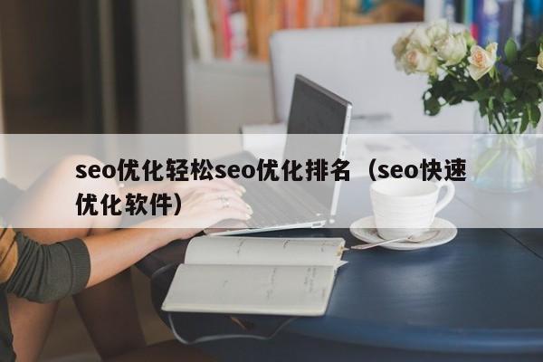 seo优化轻松seo优化排名(seo快速优化软件)