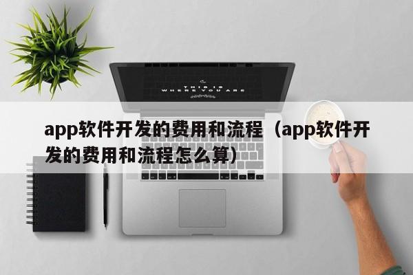app软件开发的费用和流程(app软件开发的费用和流程怎么算)