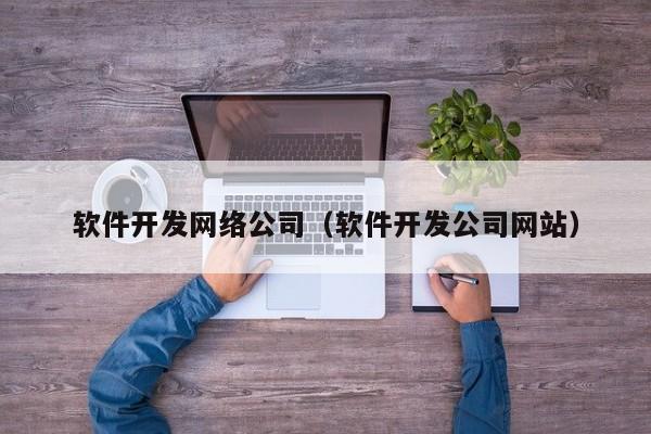 软件开发网络公司(软件开发公司网站)