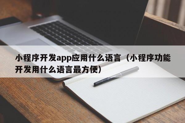 小程序开发app应用什么语言(小程序功能开发用什么语言最方便)