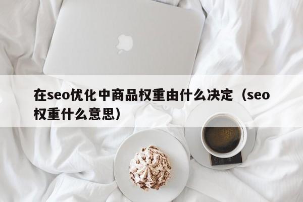 在seo优化中商品权重由什么决定(seo权重什么意思)