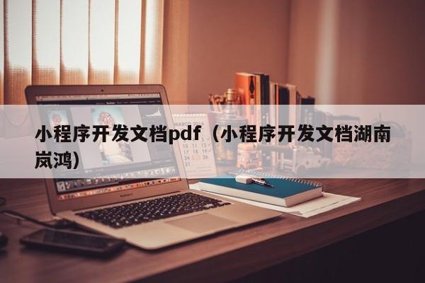 小程序开发文档pdf(小程序开发文档湖南岚鸿)
