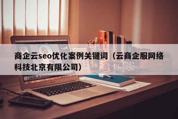 商企云seo优化案例关键词(云商企服网络科技北京有限公司)