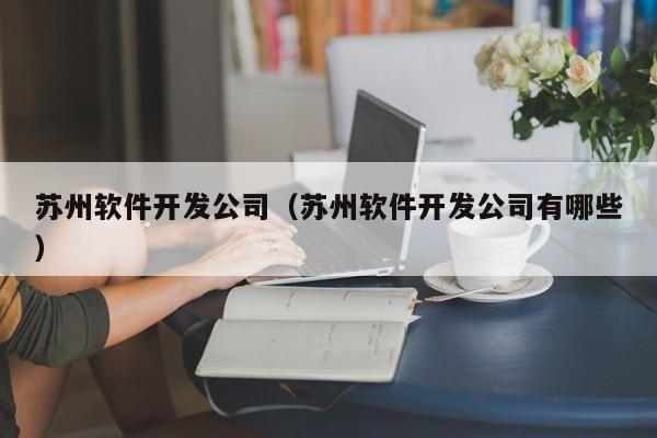 苏州软件开发公司(苏州软件开发公司有哪些)