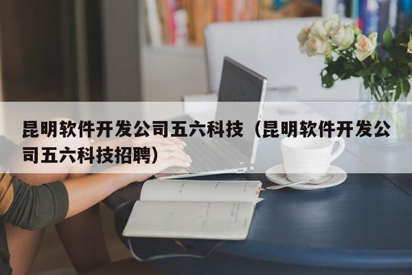 昆明软件开发公司五六科技(昆明软件开发公司五六科技招聘)