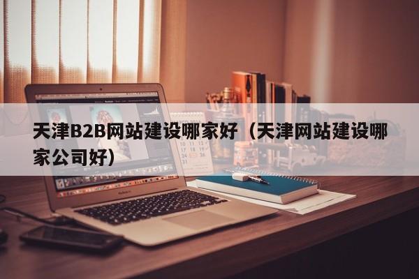 天津B2B网站建设哪家好(天津网站建设哪家公司好)