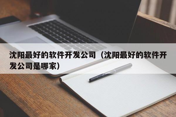 沈阳最好的软件开发公司(沈阳最好的软件开发公司是哪家)