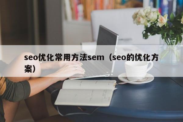 seo优化常用方法sem(seo的优化方案)