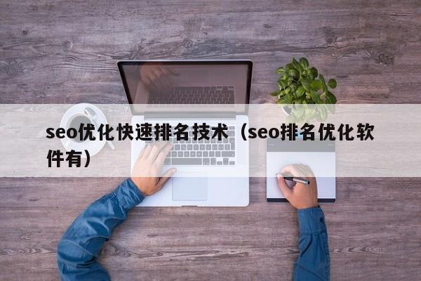 seo优化快速排名技术(seo排名优化软件有)