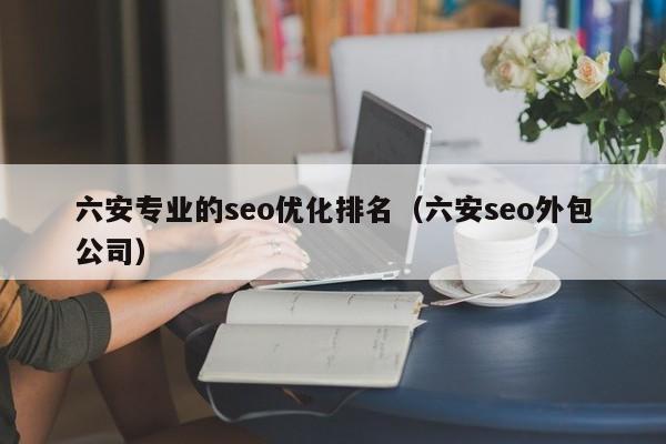 六安专业的seo优化排名(六安seo外包公司)