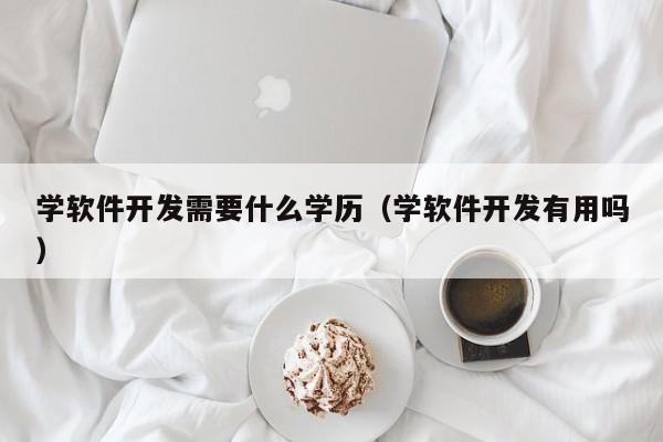 学软件开发需要什么学历(学软件开发有用吗)