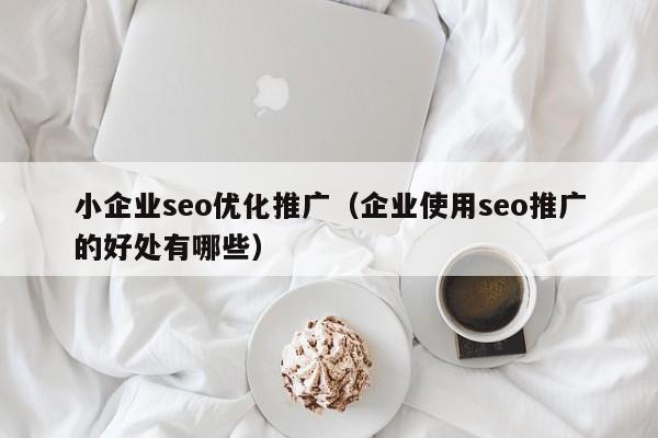 小企业seo优化推广(企业使用seo推广的好处有哪些)