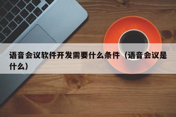 语音会议软件开发需要什么条件(语音会议是什么)