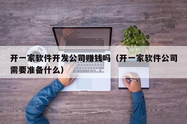 开一家软件开发公司赚钱吗(开一家软件公司需要准备什么)