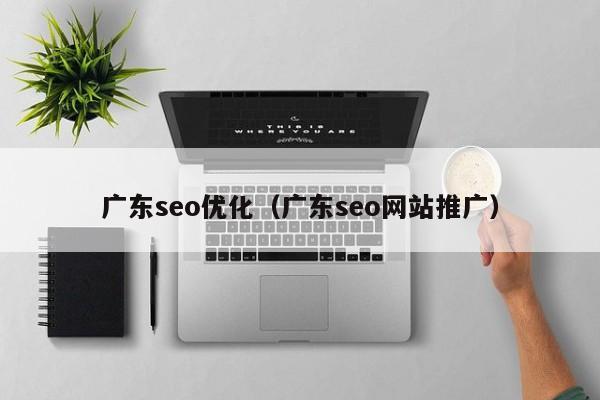 广东seo优化(广东seo网站推广)