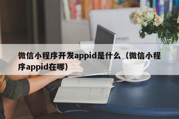 微信小程序开发appid是什么(微信小程序appid在哪)