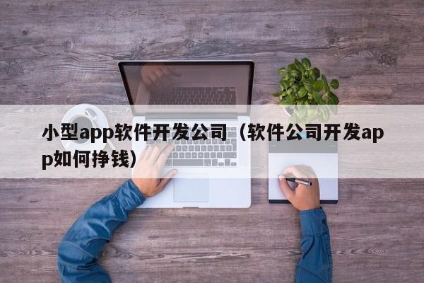 小型app软件开发公司(软件公司开发app如何挣钱)