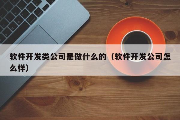 软件开发类公司是做什么的(软件开发公司怎么样)
