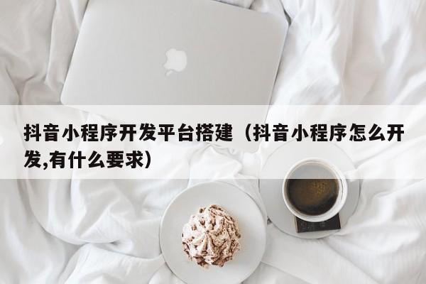 抖音小程序开发平台搭建(抖音小程序怎么开发,有什么要求)