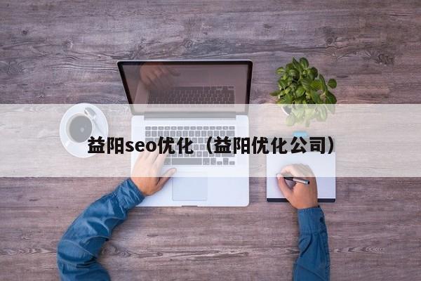 益阳seo优化(益阳优化公司)