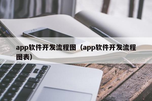 app软件开发流程图(app软件开发流程图表)