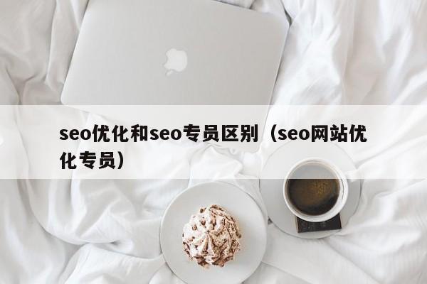 seo优化和seo专员区别(seo网站优化专员)