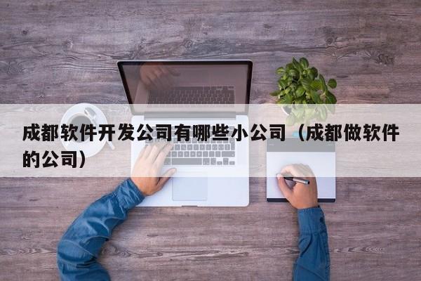 成都软件开发公司有哪些小公司(成都做软件的公司)