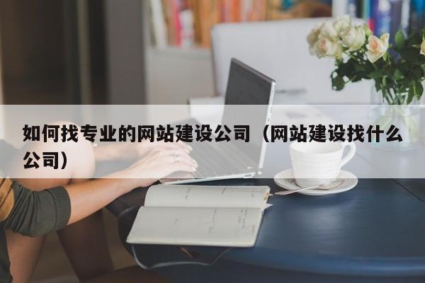 如何找专业的网站建设公司(网站建设找什么公司)